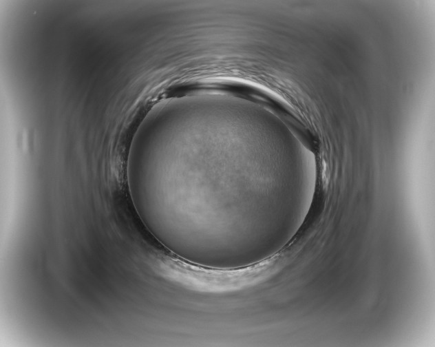 X0000085750035200703161105