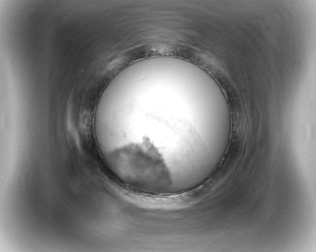 X0000085750036200703161105