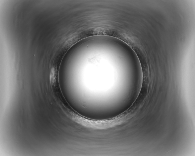 X0000085750038200703161105