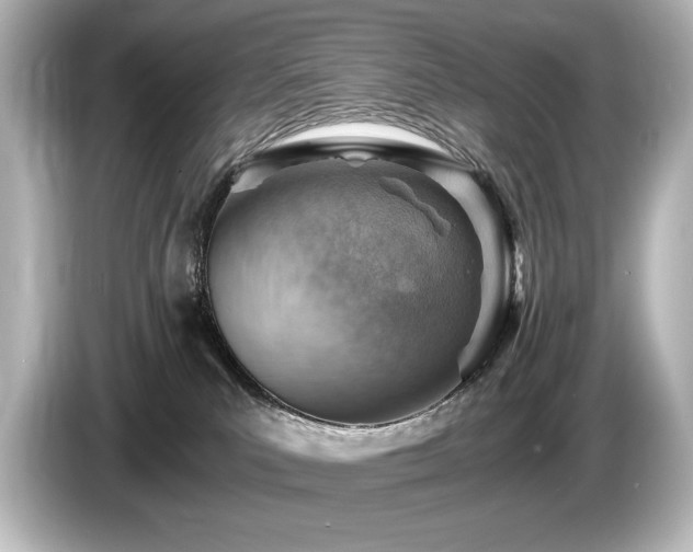 X0000085750039200703161105