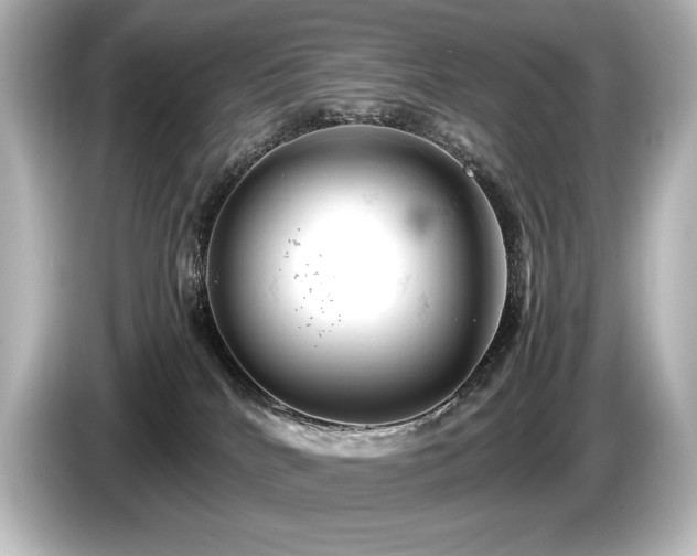 X0000085750040200703161105