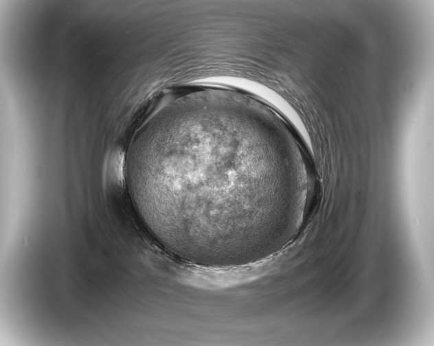 X0000085750041200703161105