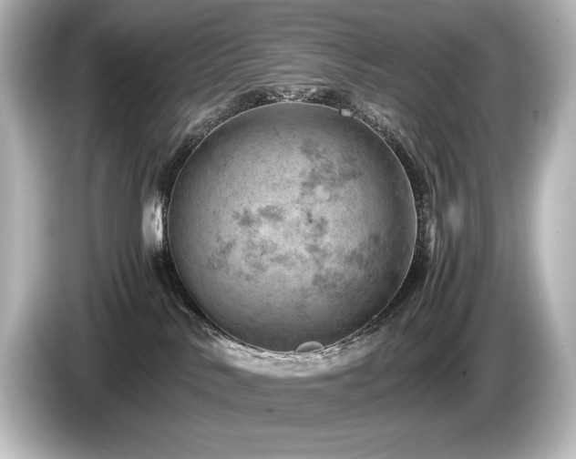 X0000085750042200703161105