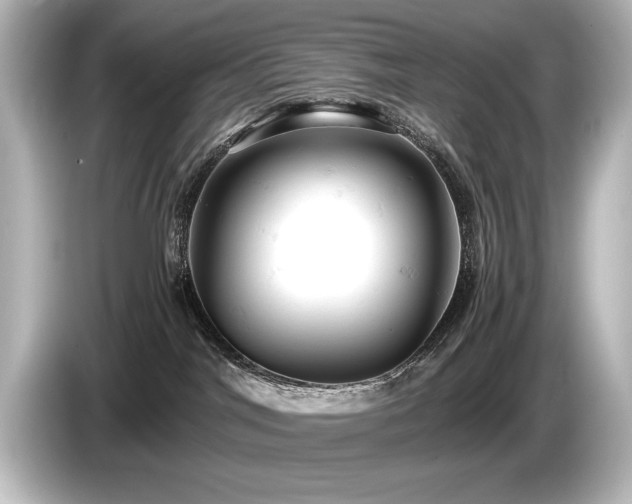 X0000085750044200703161105