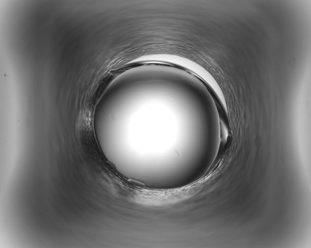 X0000085750045200703161105