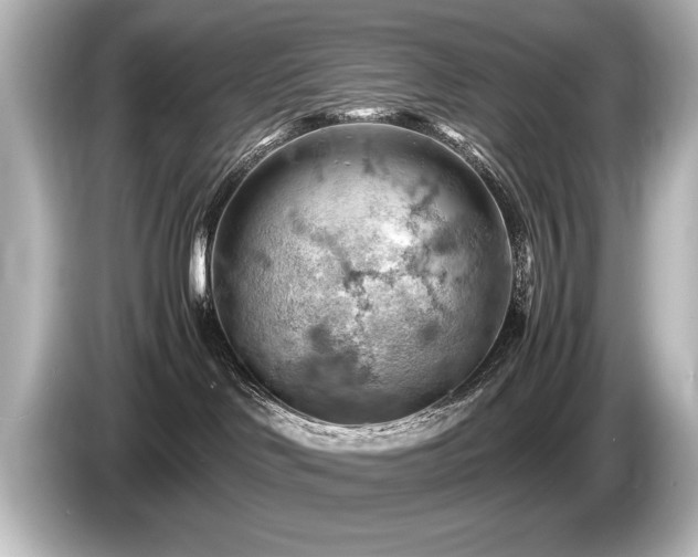 X0000085750046200703161105