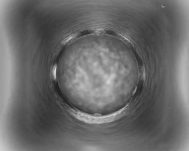 X0000085750047200703161105