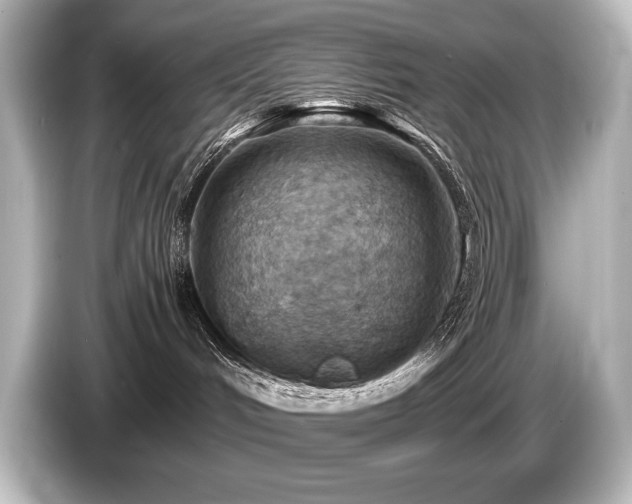 X0000085750048200703161105