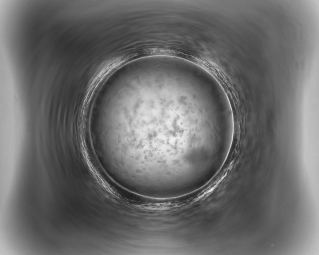X0000085750049200703161104