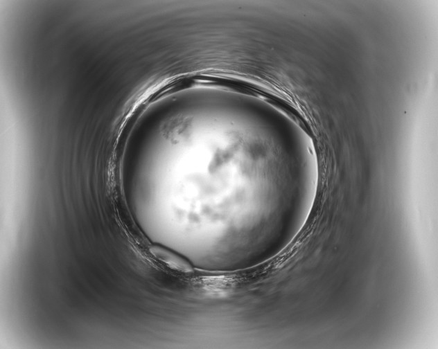X0000085750050200703161104