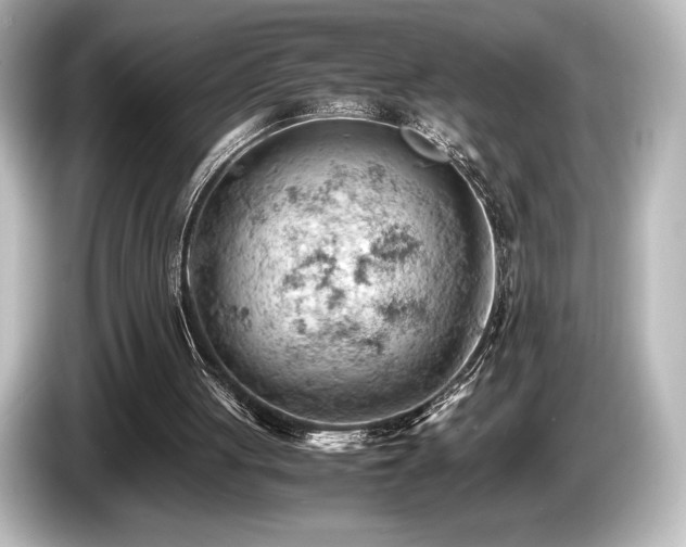 X0000085750051200703161104
