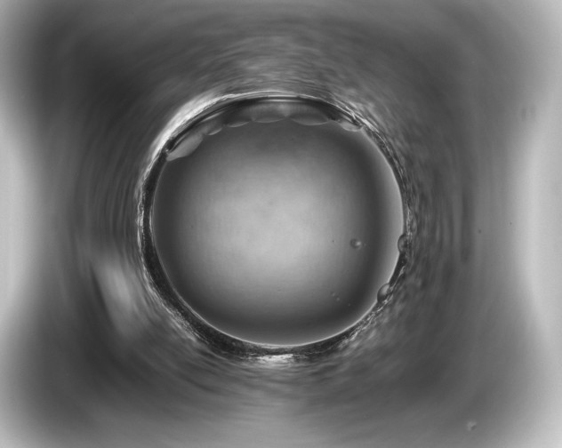 X0000085750054200703161104