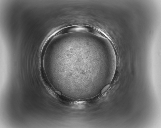 X0000085750055200703161104