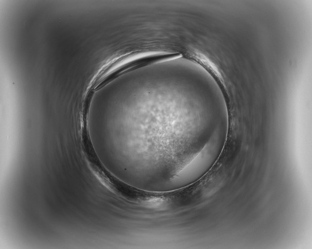 X0000085750059200703161104