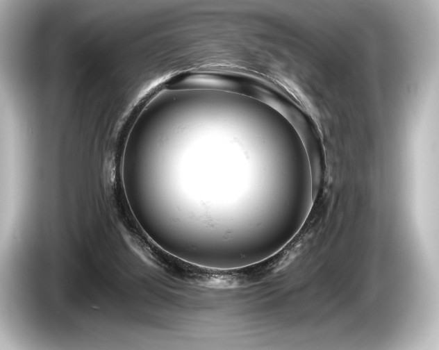 X0000085750060200703161104