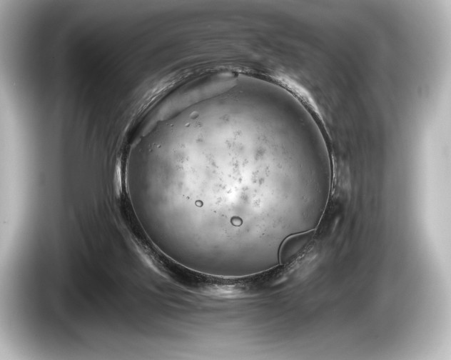 X0000085750061200703161104