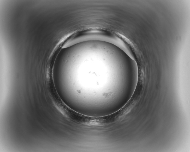 X0000085750064200703161104