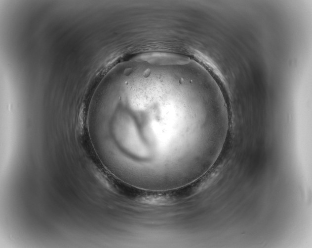 X0000085750065200703161104