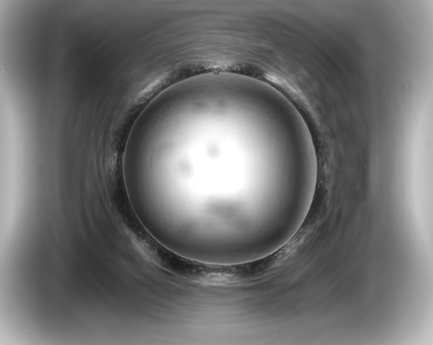 X0000085750066200703161104