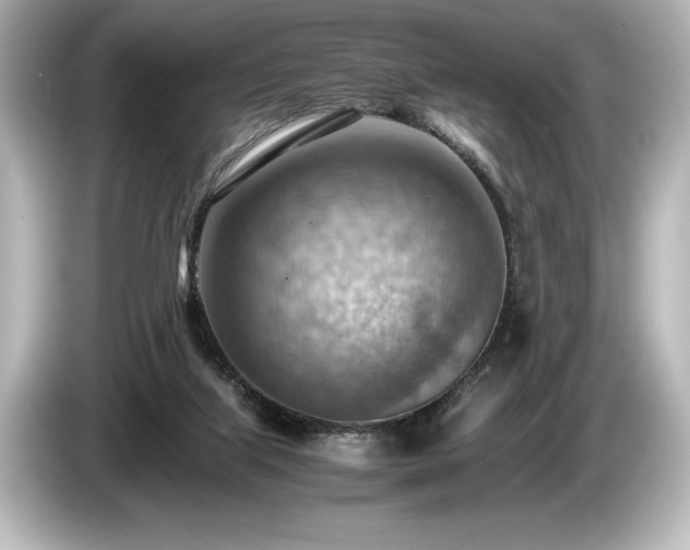 X0000085750067200703161104