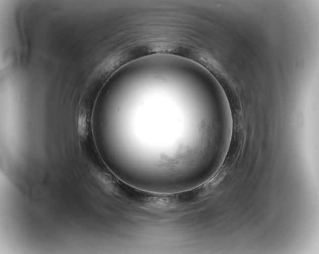 X0000085750074200703161104