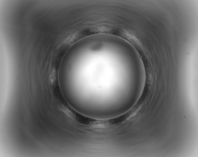X0000085750077200703161104