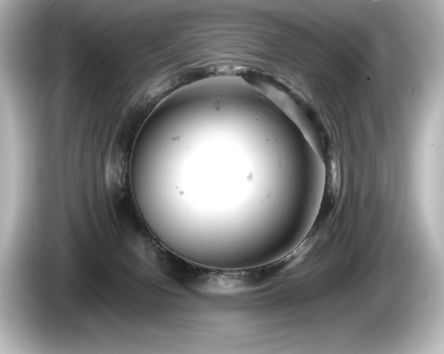 X0000085750078200703161104