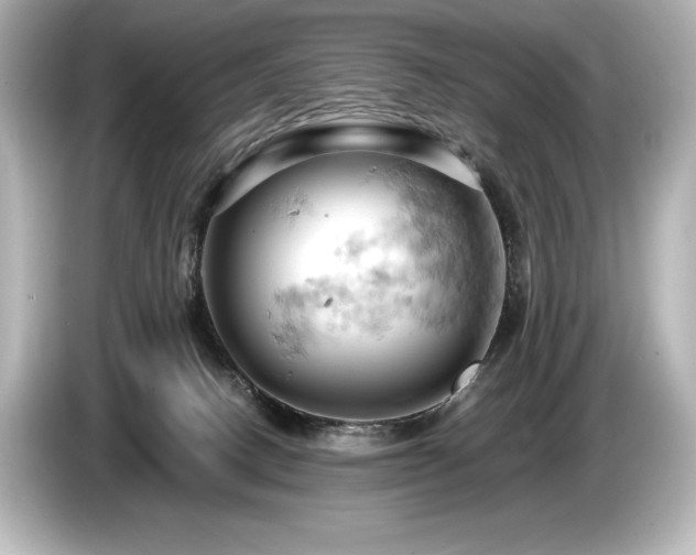 X0000085750082200703161105