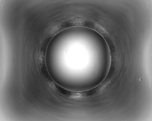 X0000085750083200703161105