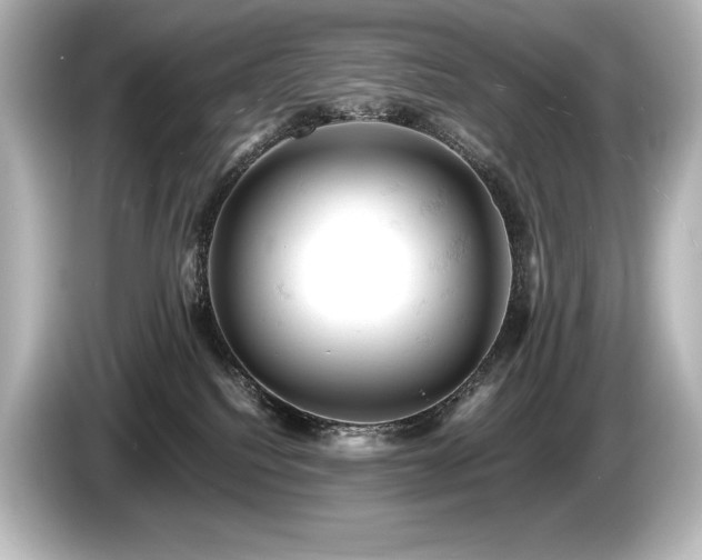 X0000085750088200703161105