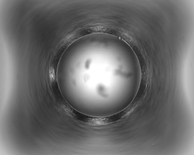 X0000085750089200703161105