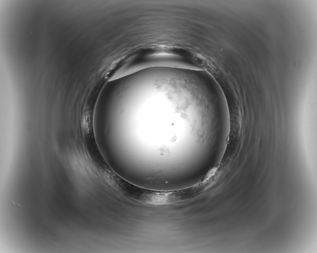 X0000085750090200703161105
