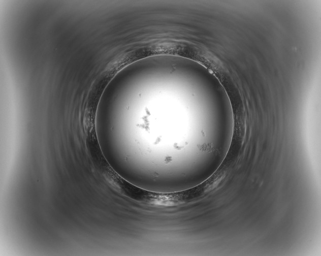 X0000085750091200703161105