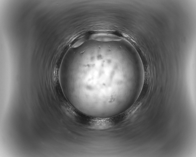 X0000085750093200703161105