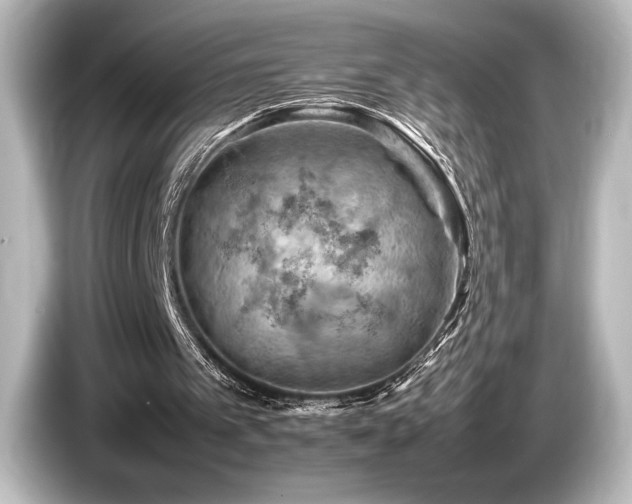 X0000085750097200703161104