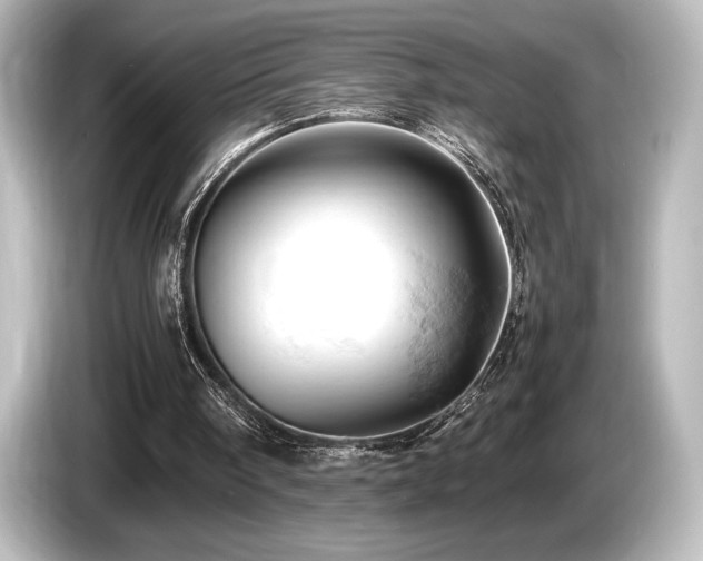 X0000085750098200703161104