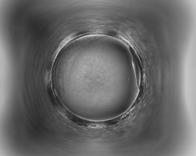 X0000085750099200703161104
