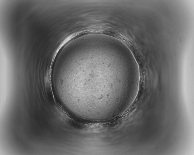 X0000085750100200703161104