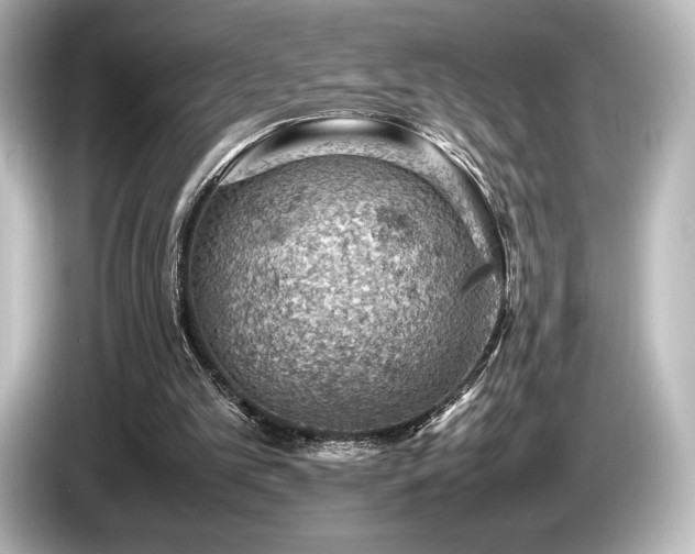 X0000085750101200703161104