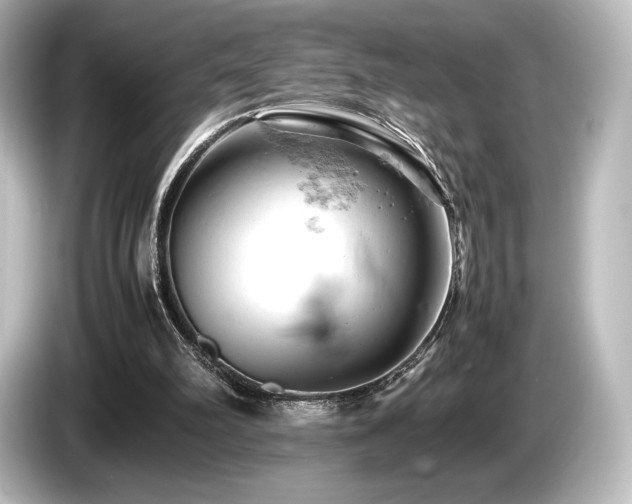 X0000085750102200703161104