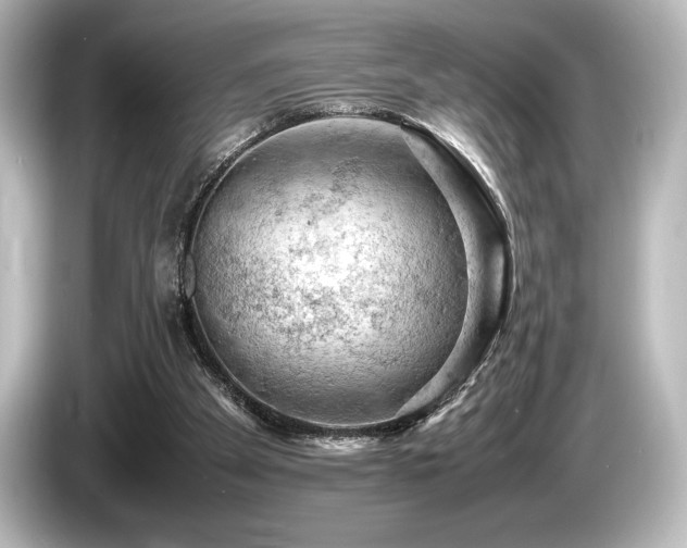 X0000085750105200703161104