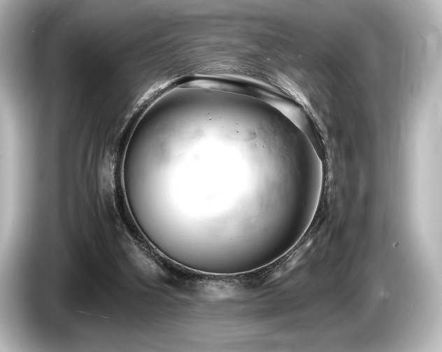 X0000085750106200703161104