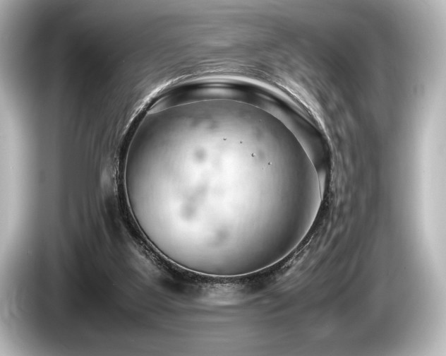 X0000085750107200703161104
