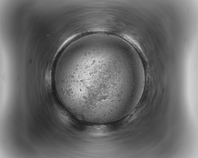 X0000085750108200703161104
