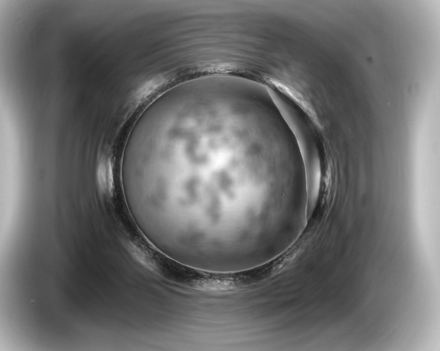 X0000085750110200703161104
