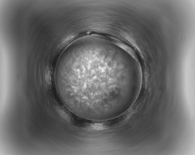 X0000085750114200703161104