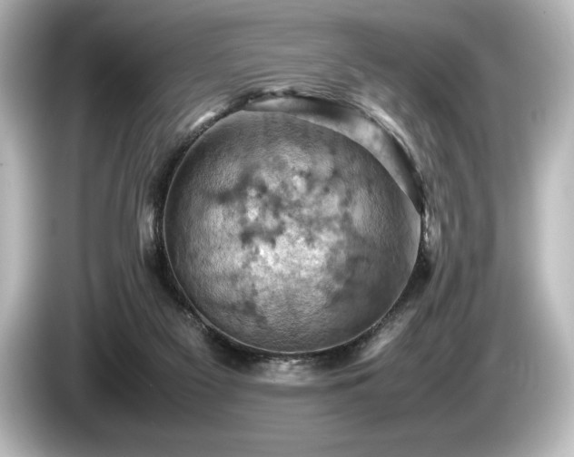 X0000085750117200703161104