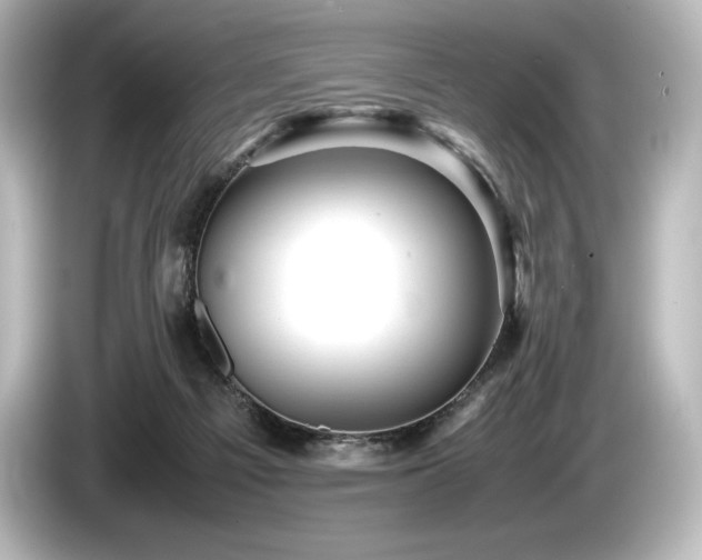 X0000085750121200703161104