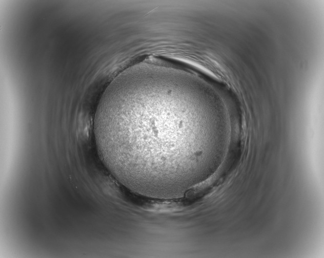 X0000085750125200703161104
