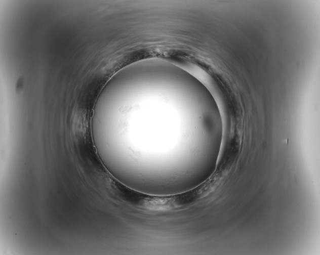 X0000085750129200703161104